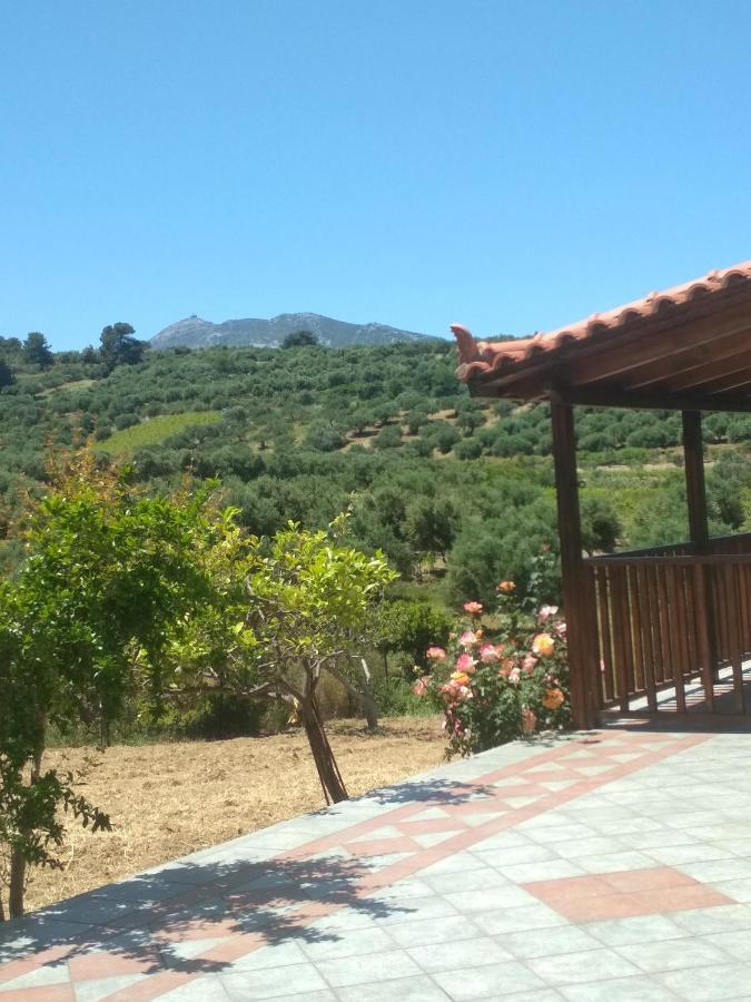 Eden Garden Villa Near Knossos Skalanion Ngoại thất bức ảnh