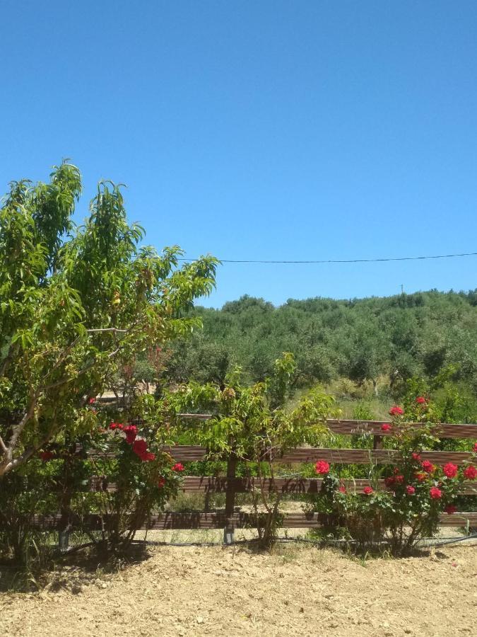 Eden Garden Villa Near Knossos Skalanion Ngoại thất bức ảnh