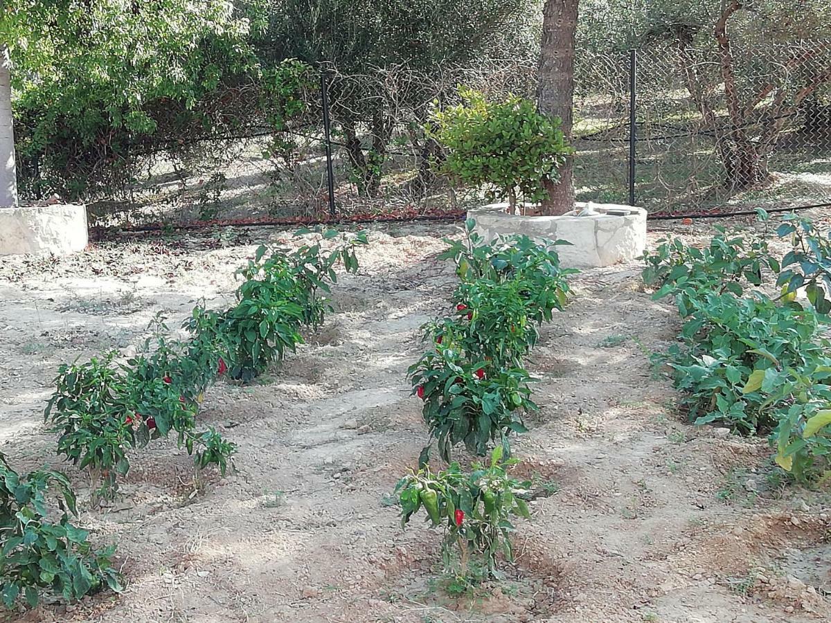 Eden Garden Villa Near Knossos Skalanion Ngoại thất bức ảnh